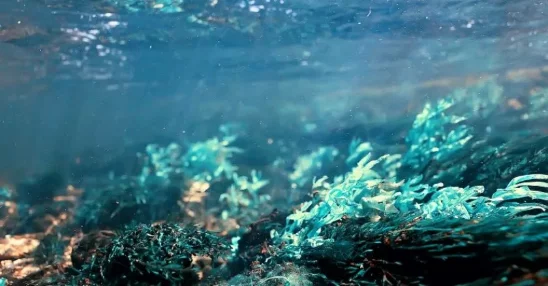 Investir dans l’eau et les déchets, un thème porteur